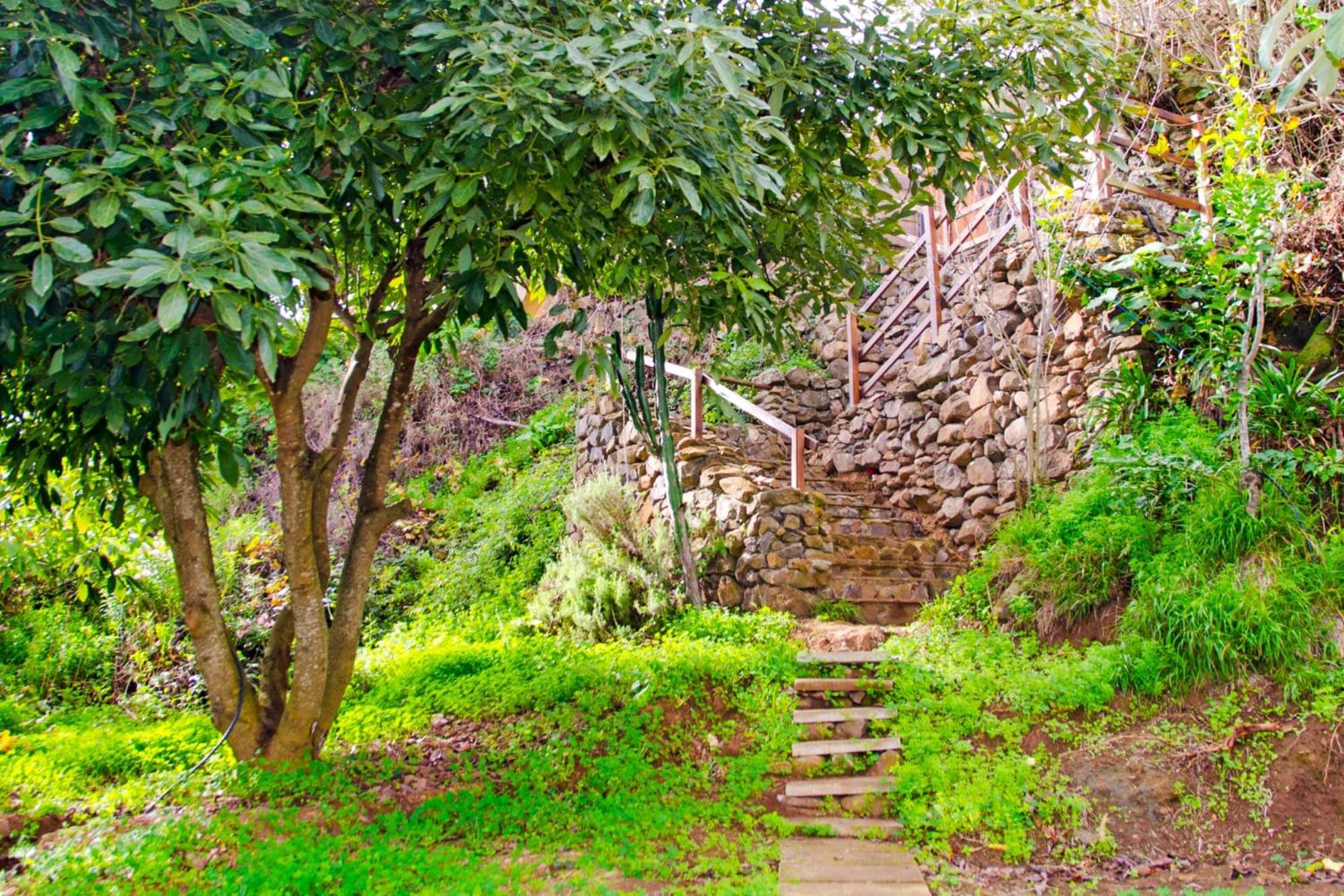 Zenda De Fontanales Villa Moya  Buitenkant foto
